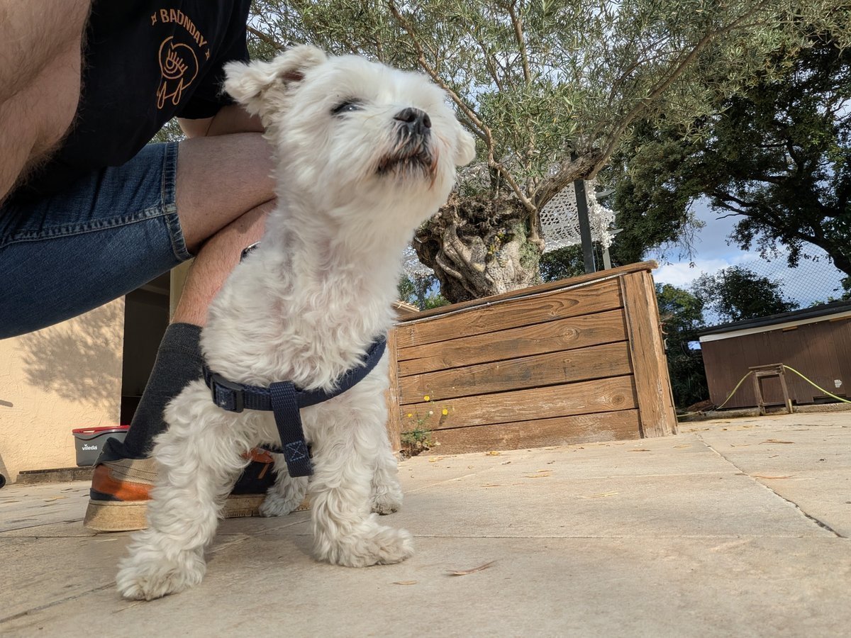 Lorraine, notre mamie chez Cani'Oc