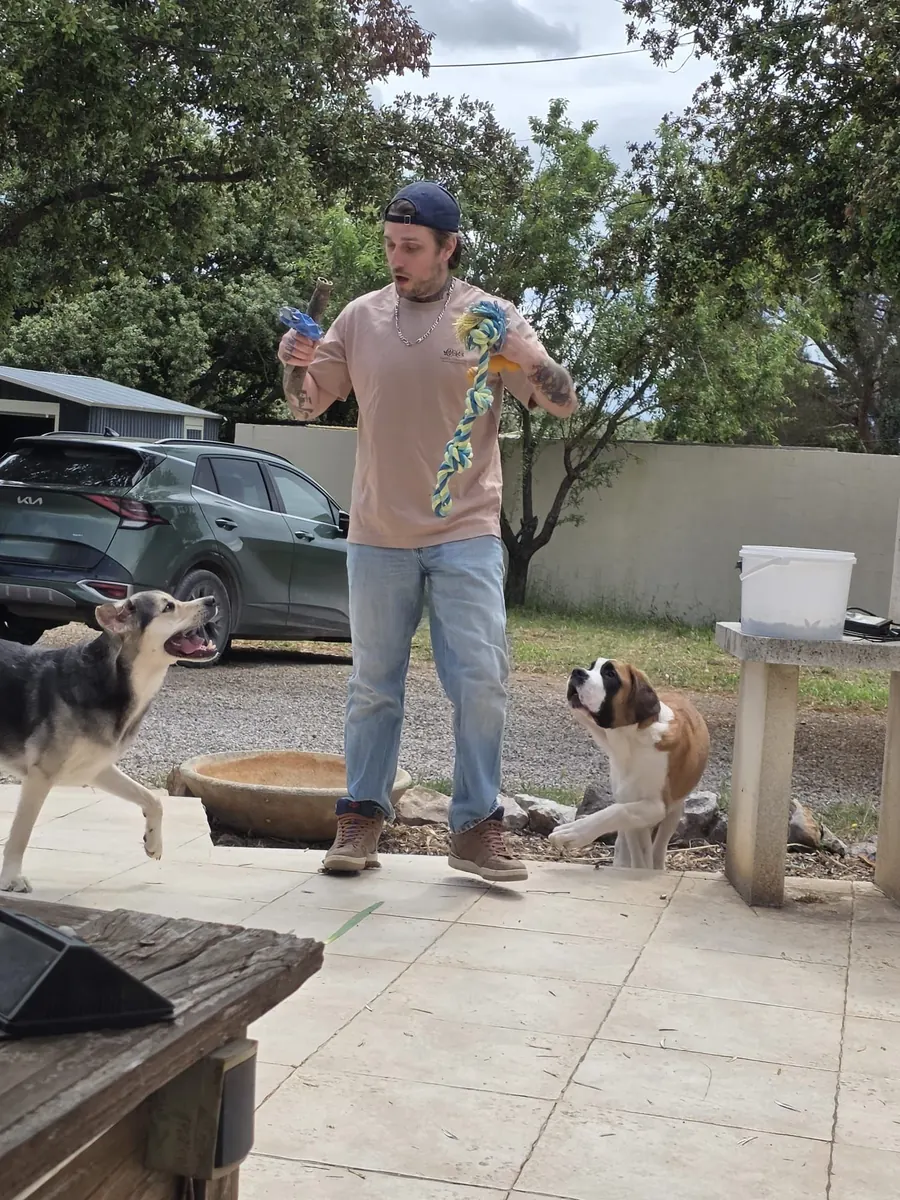 Garde de chien active pour Simba avec s&eacute;ance de jeu et d'&eacute;ducation canine