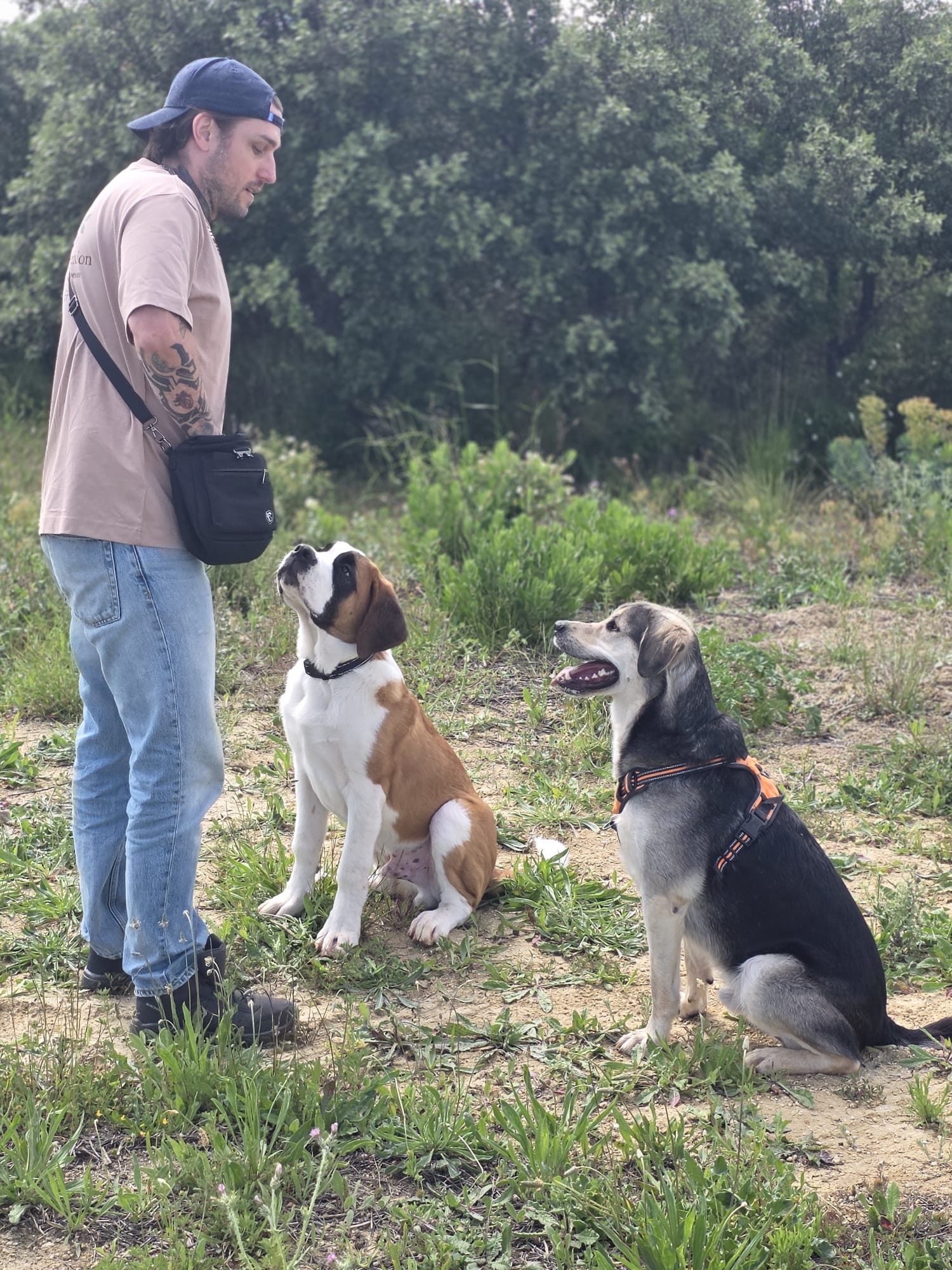 S&eacute;ance d'&eacute;ducation positive en plein air avec Simba et Arlo &agrave; Poussan